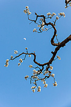 cách chơi lô đề