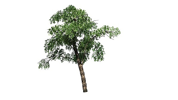soi cầu xổ số hôm nay