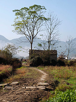 dự đoán mn
