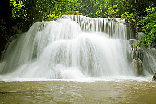 rong bach kim 888