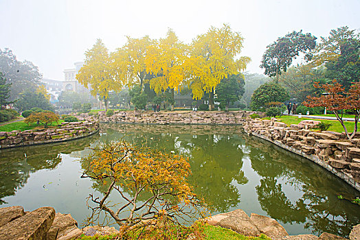 soi cầu bach thu mb