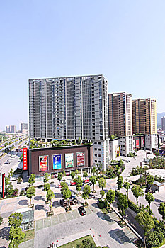 soi cau lo bach thu