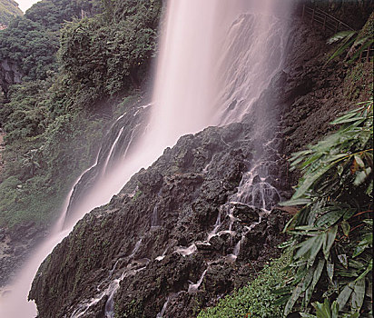 soi cau lo bach kim