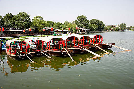 soi bạch thủ lô miền bắc