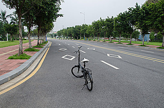 soi cau mien bac 888
