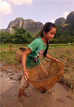 soi cau xsmb rong bach kim