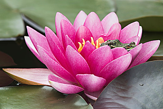 dự đoán xổ số miền nam