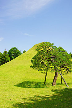 du doan bach thu