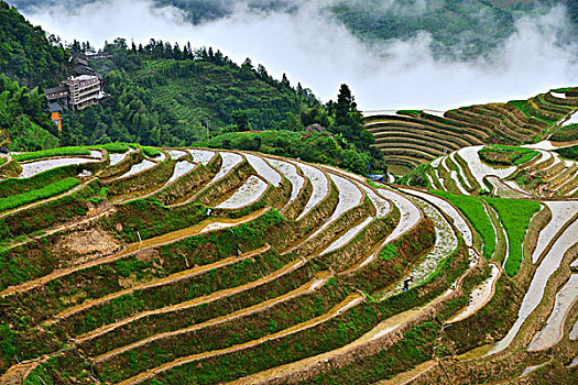 xổ số vũng tàu hôm nay