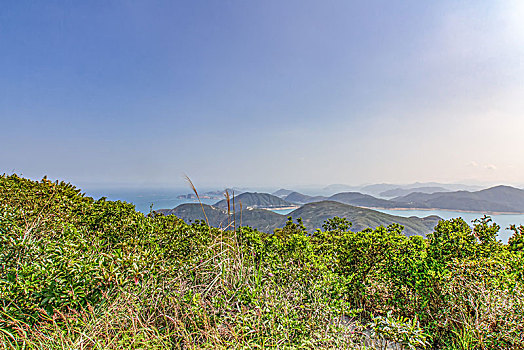 soi cau rong bach kim hom nay