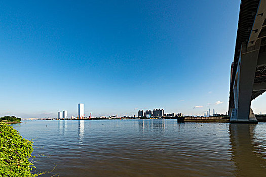 cau rong bach kim