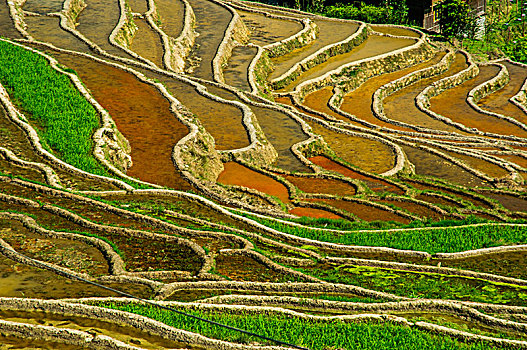 soi cầu hôm nay