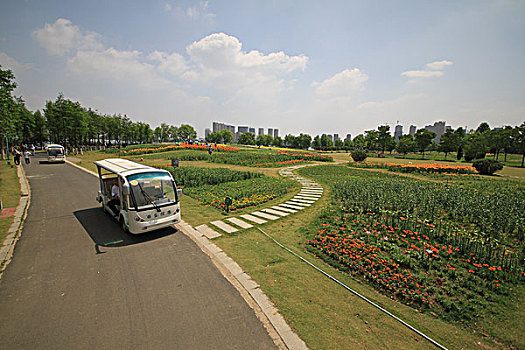 kqxs ninh thuan