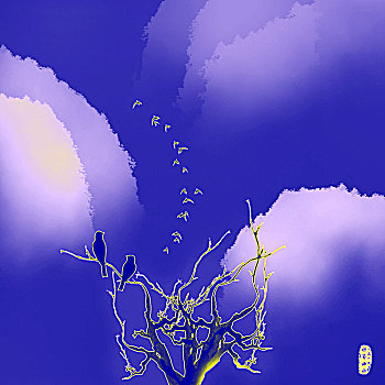 xs binhdinh