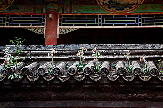 cầu lô kép