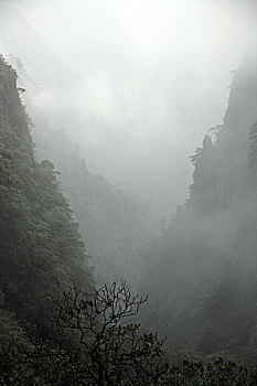 xổ số power