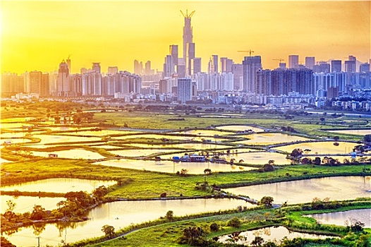 trực tiếp xổ số đồng tháp