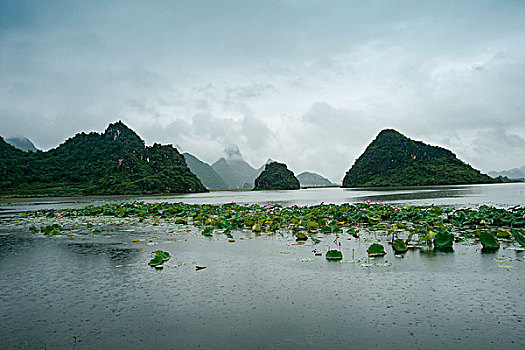 du doan mn minh ngoc