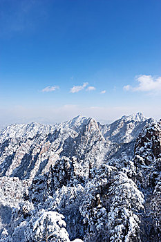 bạch thủ đề miễn phí
