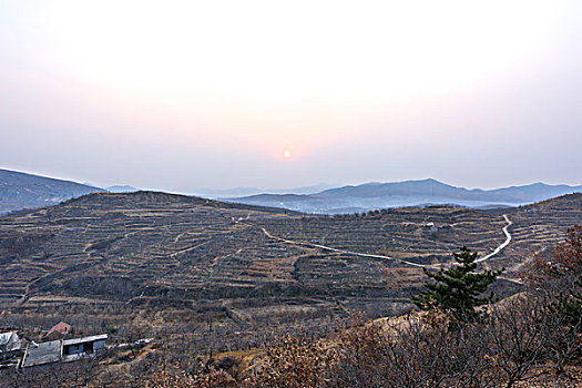 dự doan xsmb