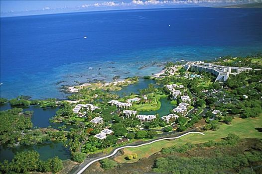 bach thu la