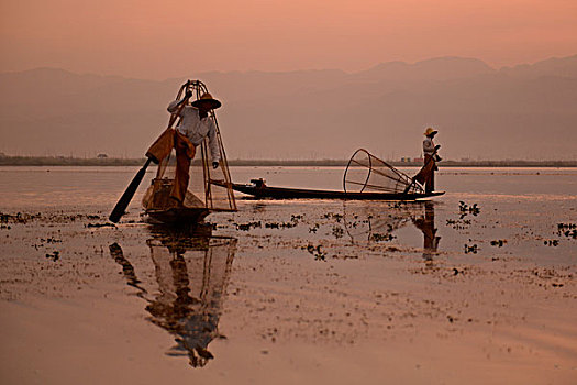 soi cau bach thu mien phi