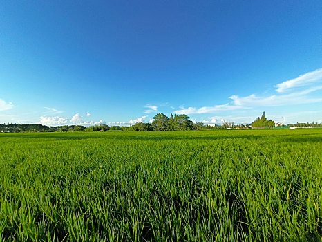dự đoán xổ số thành phố