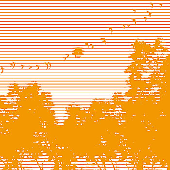 xs tp hcm