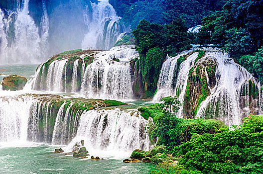 soi lô bạch thủ