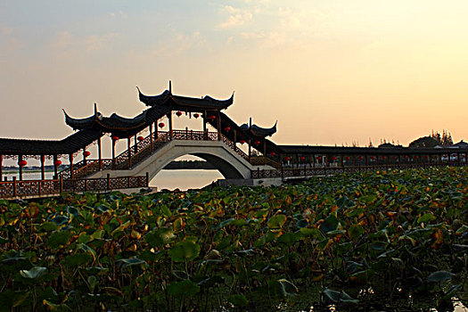 soi lô miền bắc hôm nay