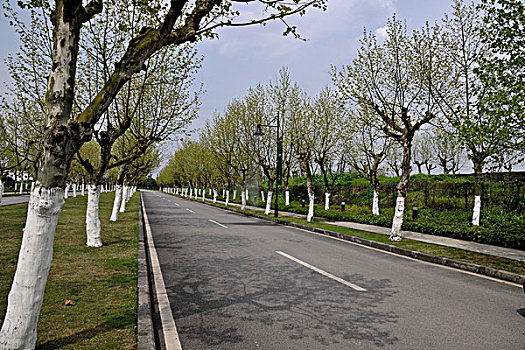 cách đánh lô trượt
