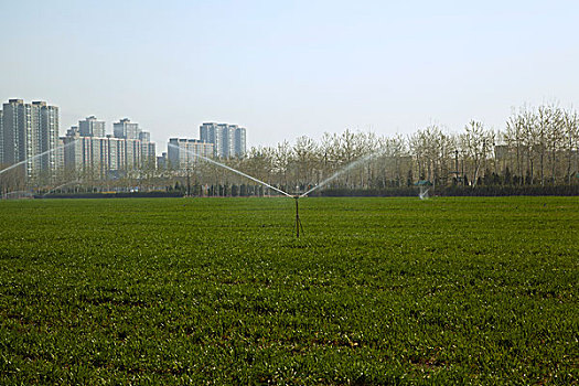 bach thu de mien bac
