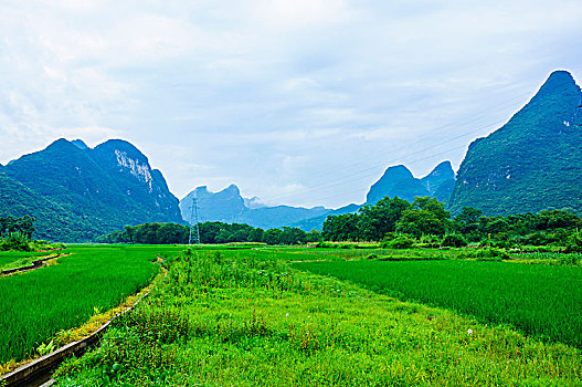 cầu bạch thủ thành phố