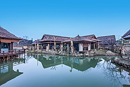 cau lo bach thu