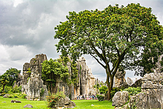 miền bắc thứ tư
