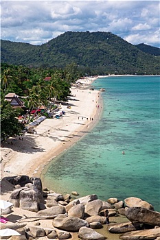 soi bach thu lo