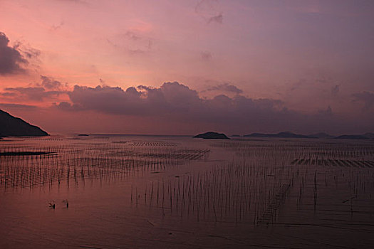 xổ số cần thơ ba đài