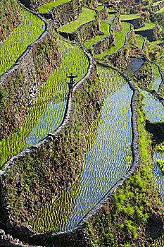 lô rơi