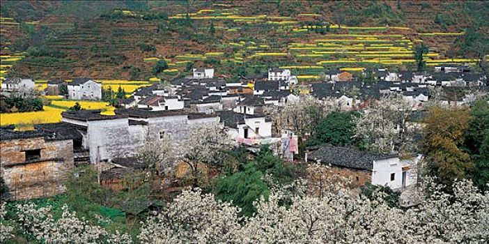 kqxs gia lai
