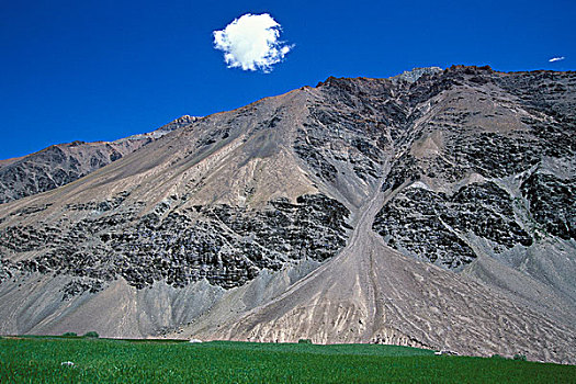 soi cau du doan mb
