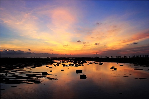 bach thu lo ngay mai