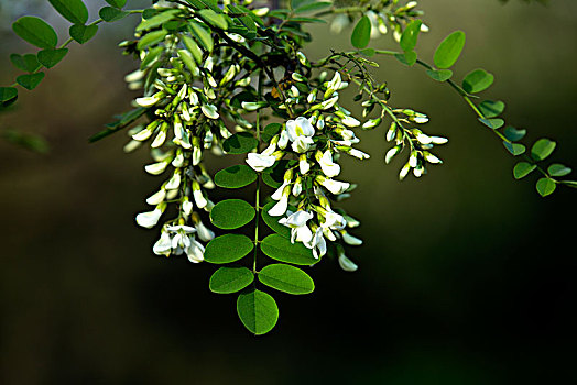 dự đoán hôm nay
