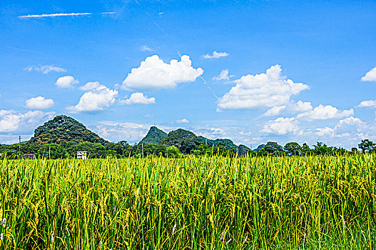 soi cầu ba miền