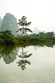 soi cau bach thu lo mien bac tag