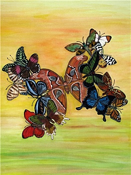 soi cầu mo bi