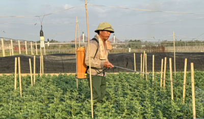 screenshot_1735656777