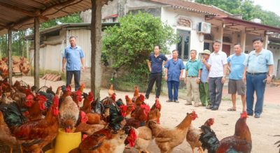 screenshot_1735657826