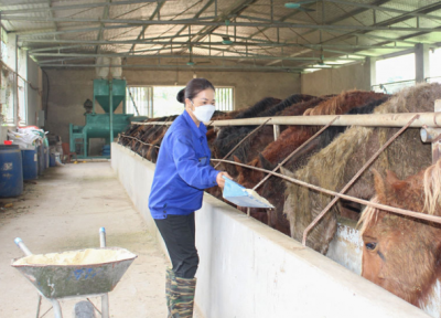 screenshot_1735658360