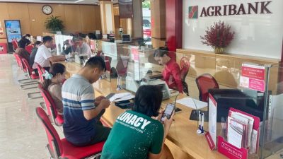 agrithainguyen1-17512660964731436326728